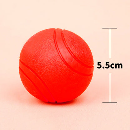 Bite-Resistant Dog Ball