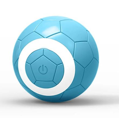 Interactive Rolling Pet Ball
