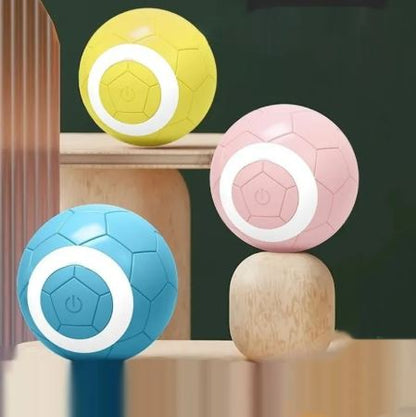 Interactive Rolling Pet Ball