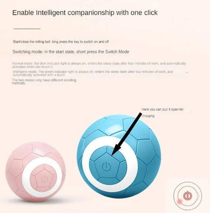 Interactive Rolling Pet Ball