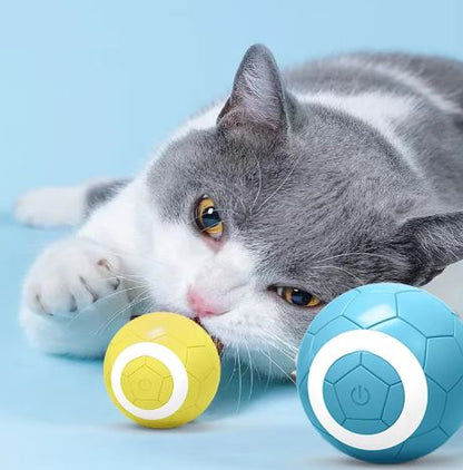 Interactive Rolling Pet Ball